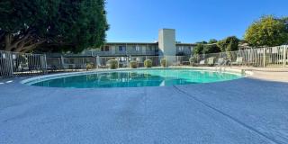 1702 W Tuckey Ln Unit 231 Gallery 21