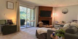 Remodeled ground floor 2 bed! Gallery 28