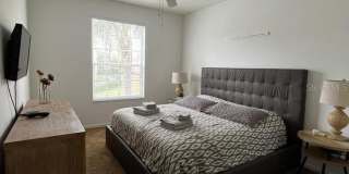 8100 PRINCESS PALM LANE Gallery 15