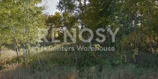 Private and Wooded in Blaine!  4 Bedroom 3 Bath  3000+ square feet! Gallery 11