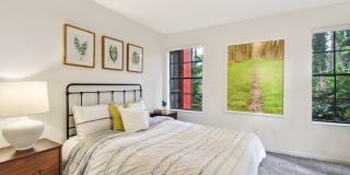 Timberwalk at Mandarin Gallery 18