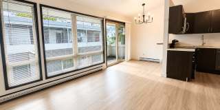 Bright 1 Bed / 1 Bath Apartment for Rent in North Seattle Private Balcony, Near Green Lake & Northgate! Bright 1 Bed / 1 Bath Apartment for Rent in North Seattle Private Balcony, Near Green Lake & Northgate! Gallery 1