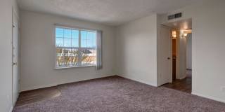 Golden Crest Gallery 8