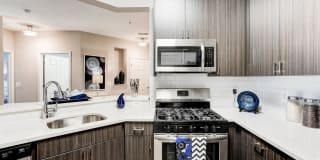 Regent's Park Gallery 4