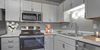 The Aurora Gallery 1