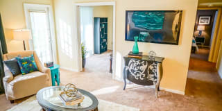 Hampton Center Gallery 10