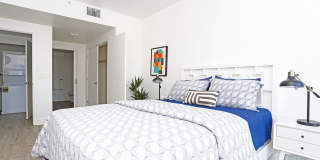 Hollis Oak Gallery 21