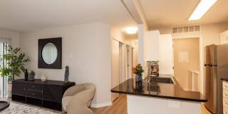 Lumina Apartments Gallery 28