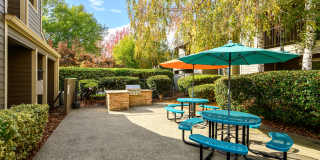 Harbor Oaks Apartment Homes Gallery 6