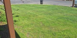 2x1 Less Than $933 Big Yard, Pets OK 2x1 Less Than $933 Big Yard, Pets OK Gallery 4