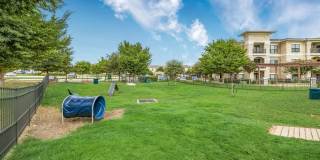 Bexley Lake Forest Gallery 18