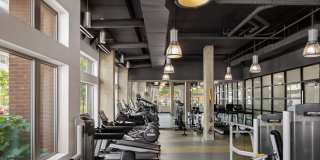 The Frasier Gallery 19