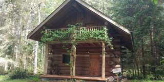 Rustic Log Home In the Woods! Gallery 1