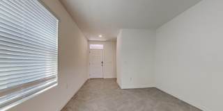 31260 Penny Surf Loop Gallery 2