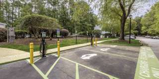 Timber Hollow Gallery 20