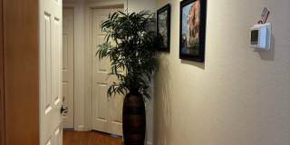 Beautiful La Jolla Condo – Fully Furnished Gallery 8