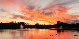 Fountain Lake Bradenton Gallery 15