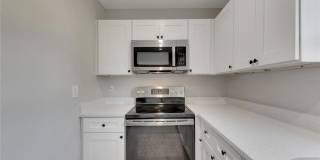 527 FOX RUN Trail Gallery 22