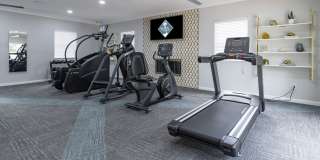 Nova at Trinity Gallery 8