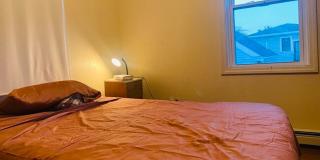 Newly renovated 1-Bd Cambridge - Great Deal Gallery 17