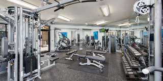 Porter Westside Gallery 20