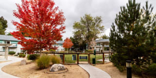 The Element The Element Gallery 17