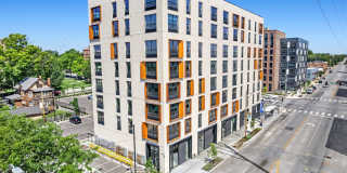 Senate at The Crosswalks Gallery 24