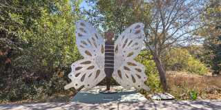 Haven at Deer Creek Gallery 30