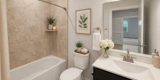 46270 MOUNT ALLEN Terrace Gallery 12