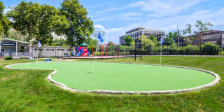 Premier at Cherry Hill Gallery 19