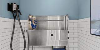 81 Fifty at West Hills Gallery 12