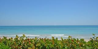 8880 N Sea Oaks Way unit: 208 Gallery 31