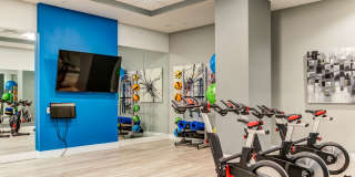 Allure Apollo Gallery 17