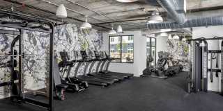 The Point at Waltham Gallery 12