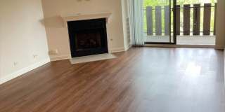 1755 lake cook Road Gallery 7