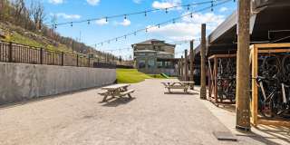 Canopy Park Gallery 22