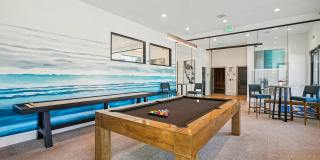 Carrington Square Gallery 25