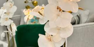 51 Lariat Circle Gallery 15