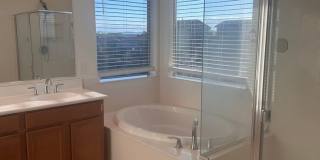 PRICE DROP!!!! Beautiful Property in Oro Valley - 4 Bedroom 2.5 Bath Gallery 13