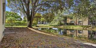 183 Lakeview Dr Gallery 25