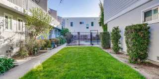 447 Oak Ave Gallery 4