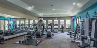 Hollow Tree Park Gallery 35