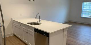 Beautiful Brand New Three Bedroom Apartment! Gallery 4