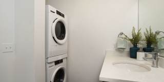 The Dahlia Gallery 4