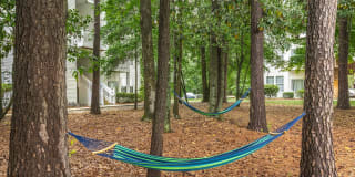 Birchwood Park Gallery 3