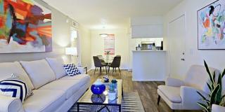 Rise Desert West Gallery 62