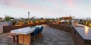 The Landing Gallery 25