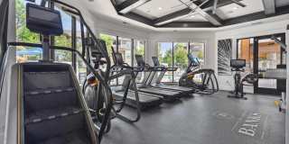 The Banks at Rivergate Gallery 24