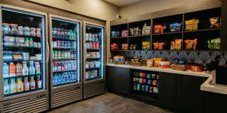 Alvante at Grand National Gallery 11