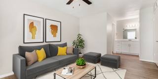 Helios Gallery 8